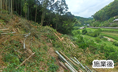 竹林の伐採作業、施業後の様子